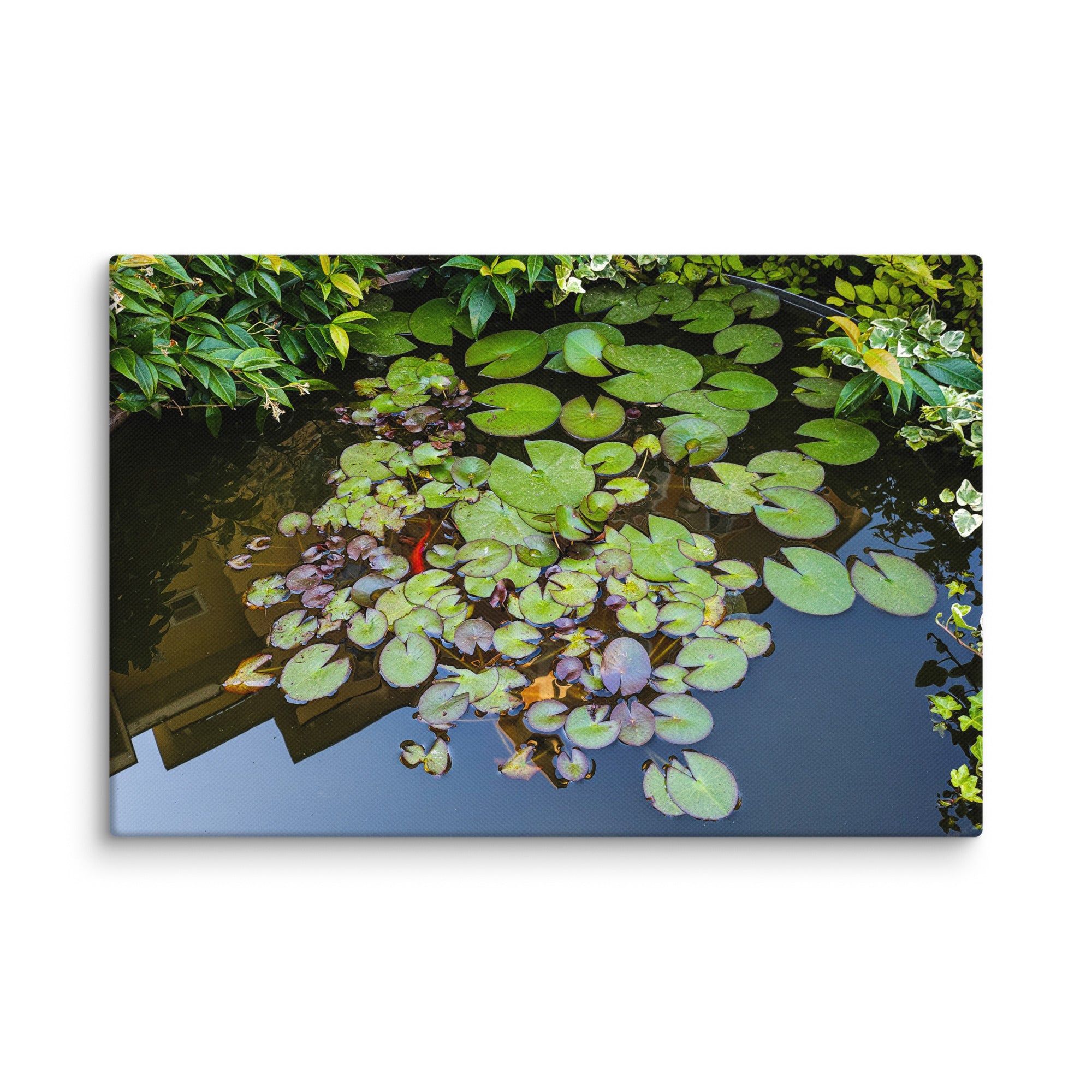Canvas of a Pond and Lily Pads in Darfo Boario Terme Italy - Rosetta Creative Boutique